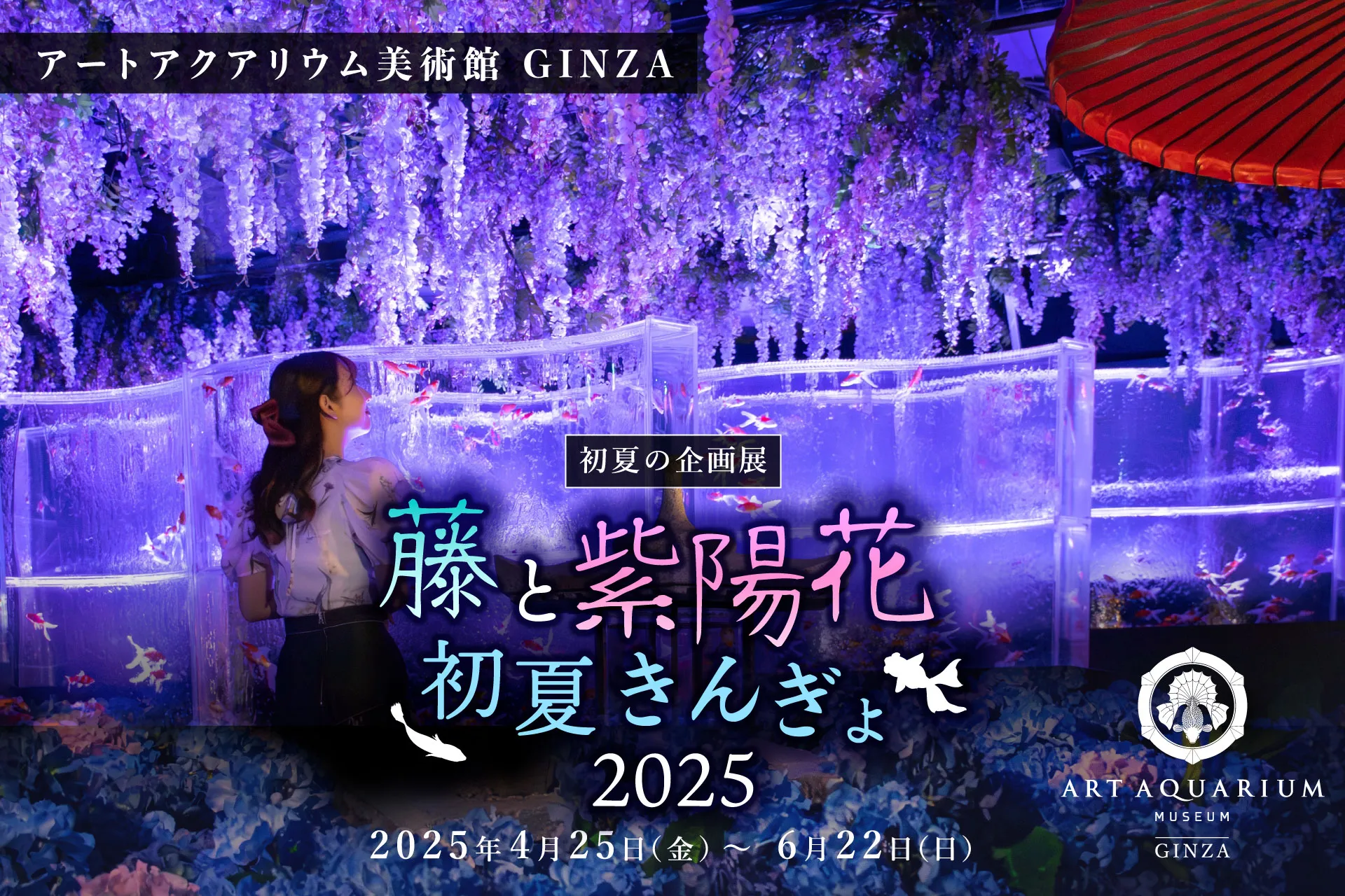 ART AQUARIUM MUSEUM GINZA Early Summer Exhibition 'Wisteria and Hydrangea Early Summer Goldfish 2025'